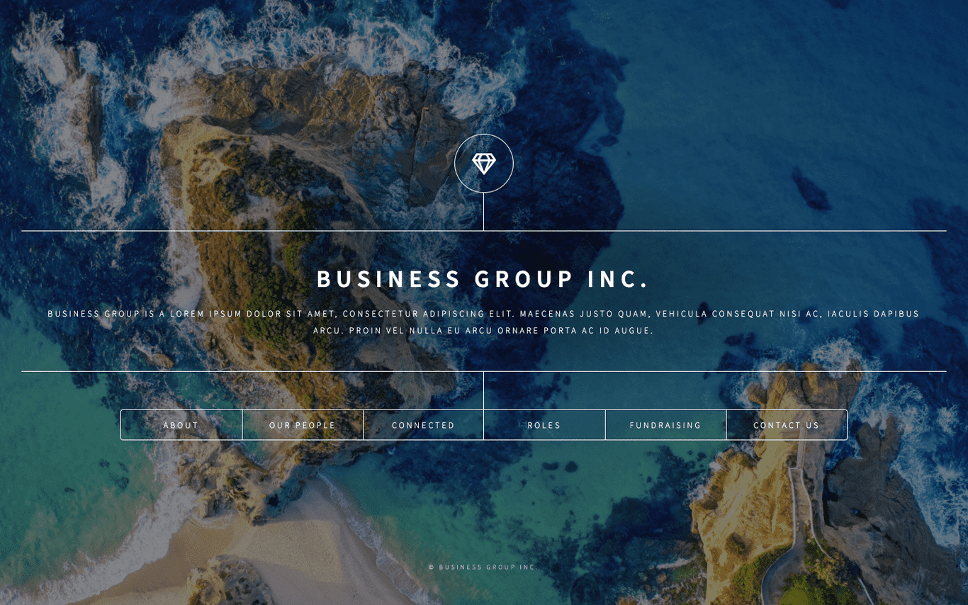 Business Website